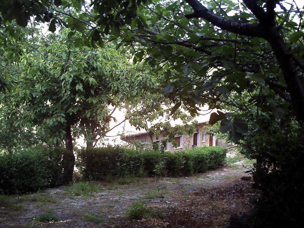 Apartamentos Condado De Miranda Miranda del Castañar Dış mekan fotoğraf